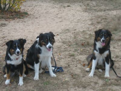 Shanti ,Watson, Lucy